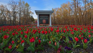 The Jackson Avenue entrance to campus is shown with beautiful red tulips.
